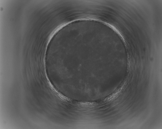 X0000086090943200704091323