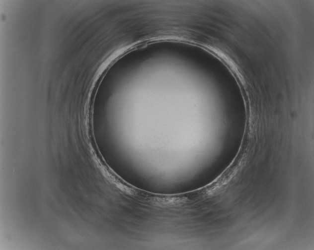 X0000086090949200704091323