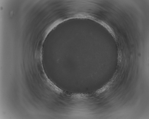 X0000086090950200704091323