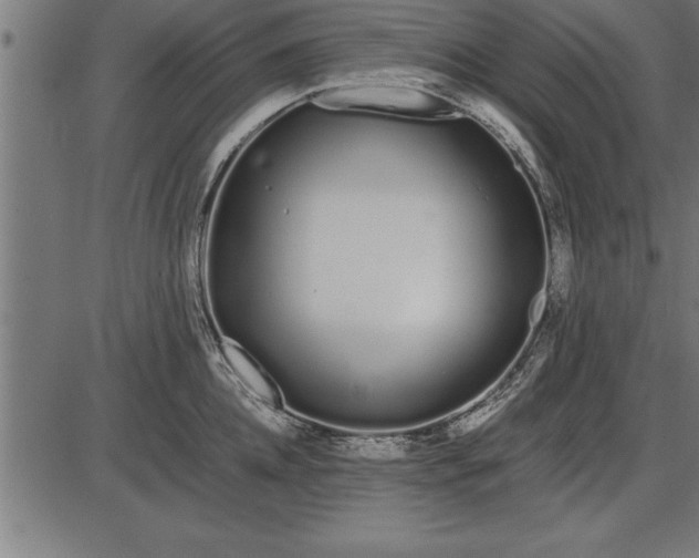 X0000086090952200704091323