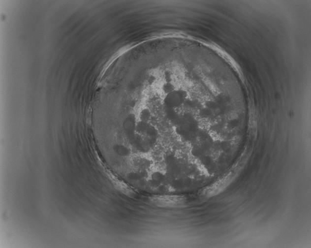 X0000086090953200704091323