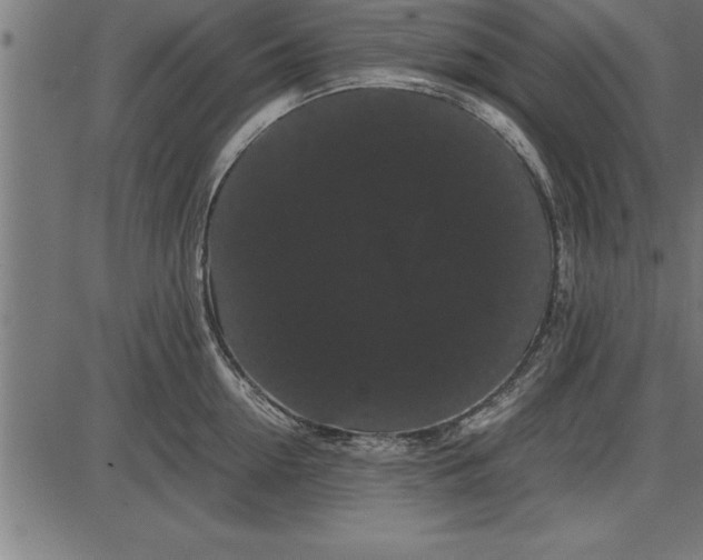 X0000086090954200704091323