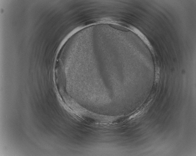 X0000086090955200704091323