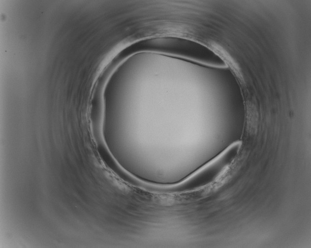 X0000086090956200704091323