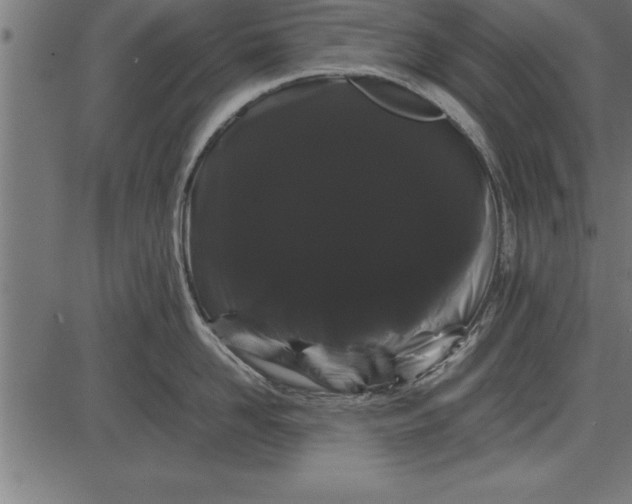 X0000086090958200704091323