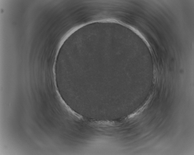 X0000086090959200704091323