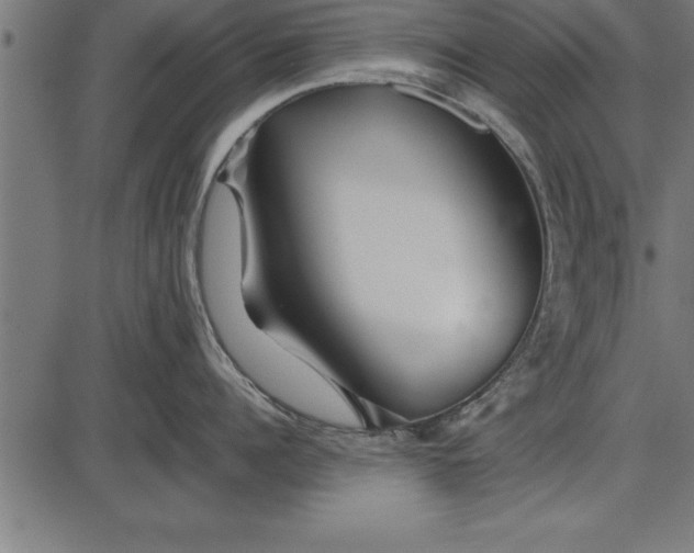 X0000086090960200704091323