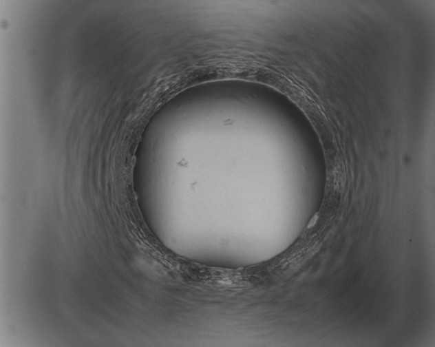 X0000086090961200704091322