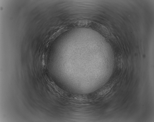 X0000086090962200704091322