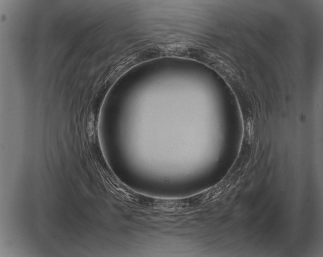 X0000086090963200704091322