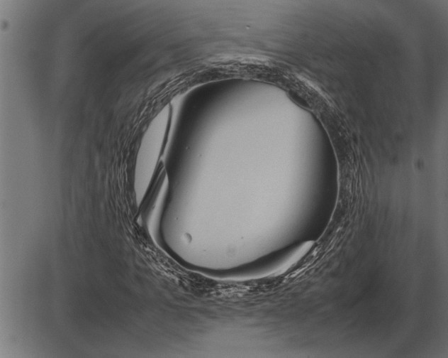 X0000086090965200704091322