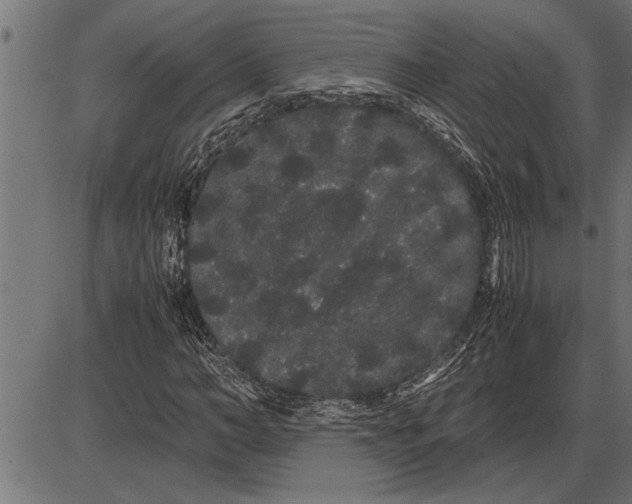 X0000086090966200704091322