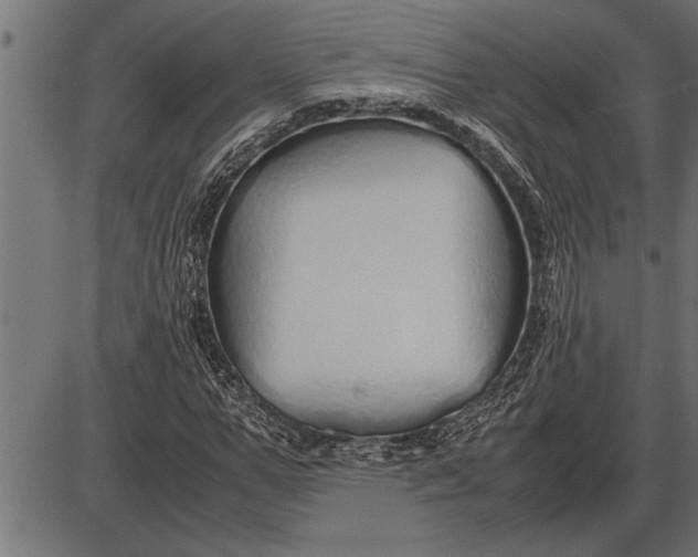 X0000086090967200704091322