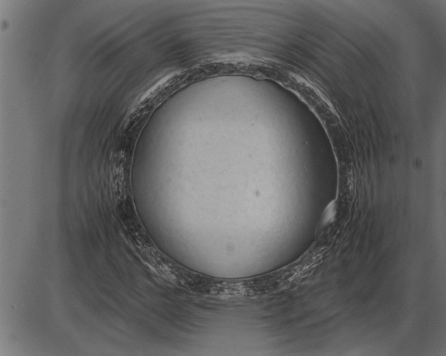 X0000086090968200704091322