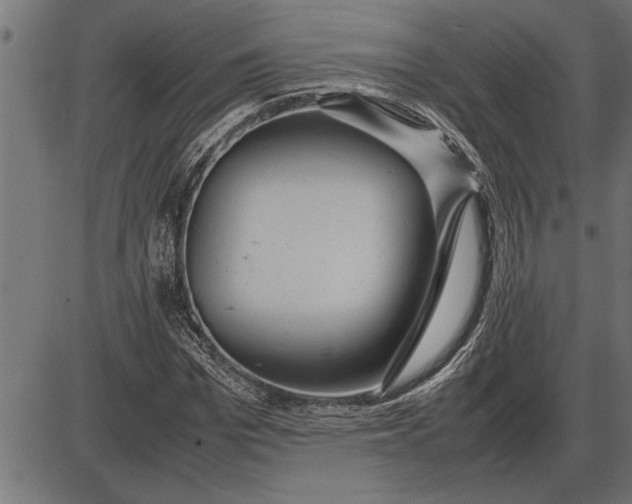 X0000086090969200704091322