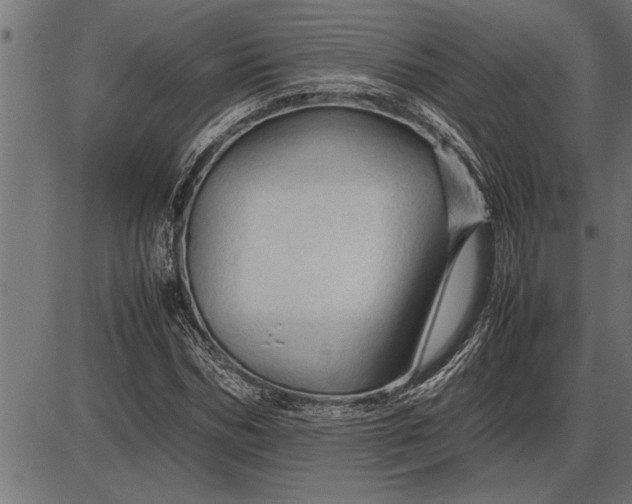 X0000086090970200704091322