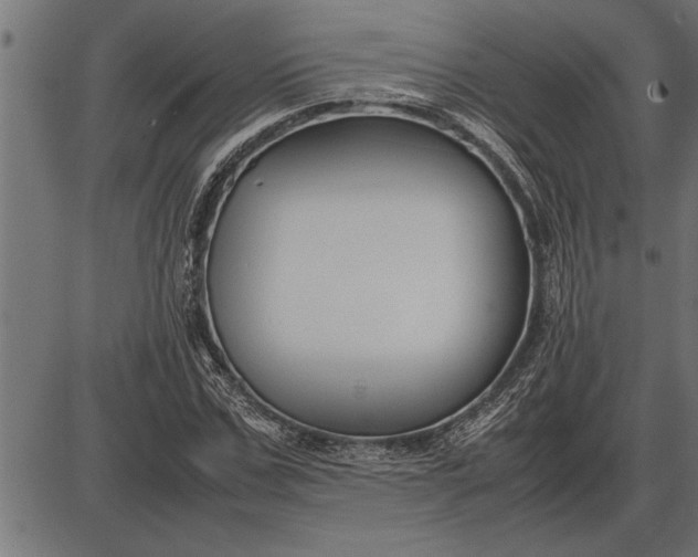 X0000086090971200704091322