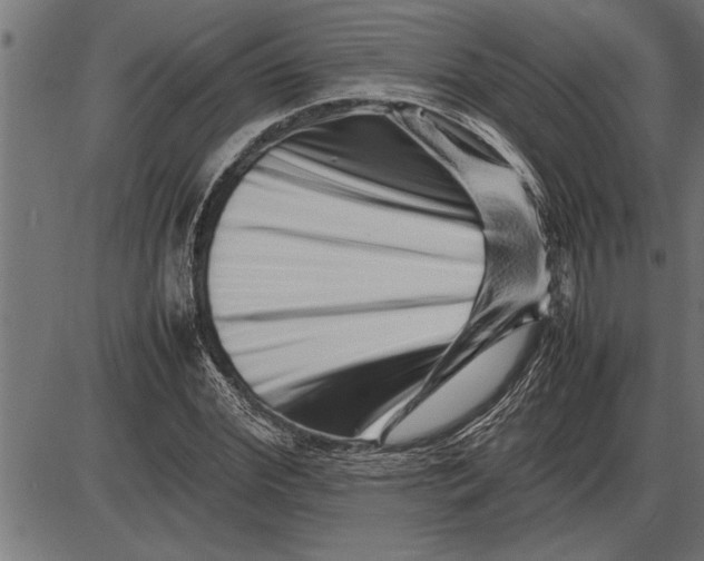 X0000086090972200704091322