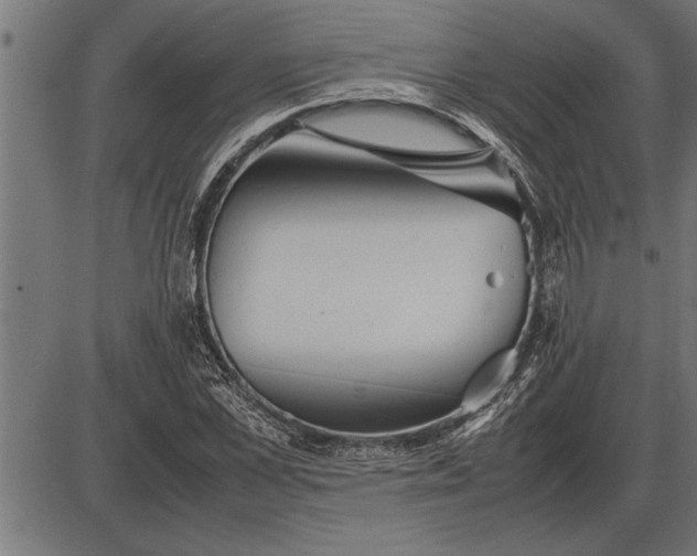 X0000086090973200704091322