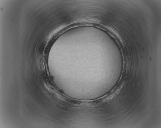 X0000086090974200704091322