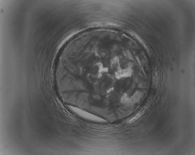 X0000086090975200704091322