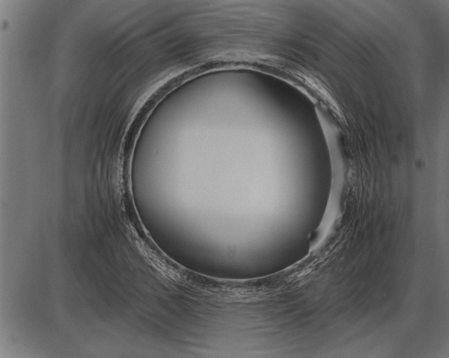 X0000086090976200704091322