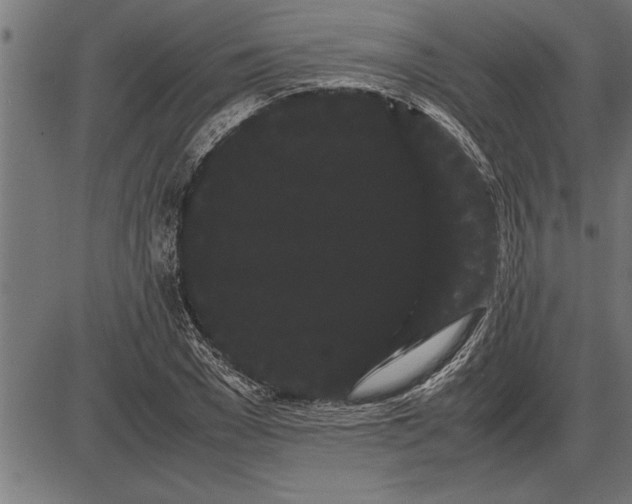 X0000086090977200704091322