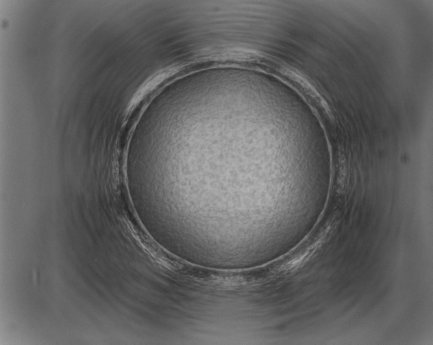 X0000086090978200704091322