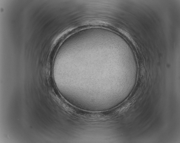 X0000086090979200704091322