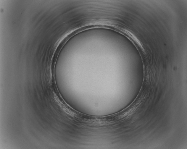 X0000086090980200704091322