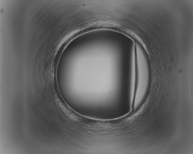 X0000086090981200704091322