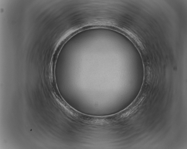 X0000086090982200704091322