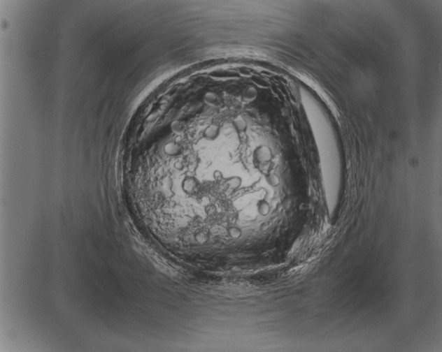 X0000086090983200704091322