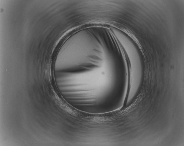 X0000086090984200704091322