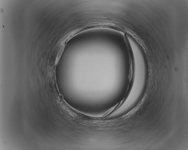 X0000086090985200704091322