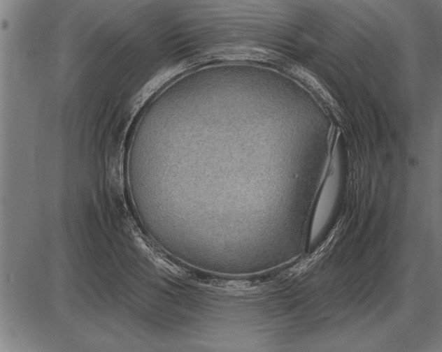 X0000086090986200704091322