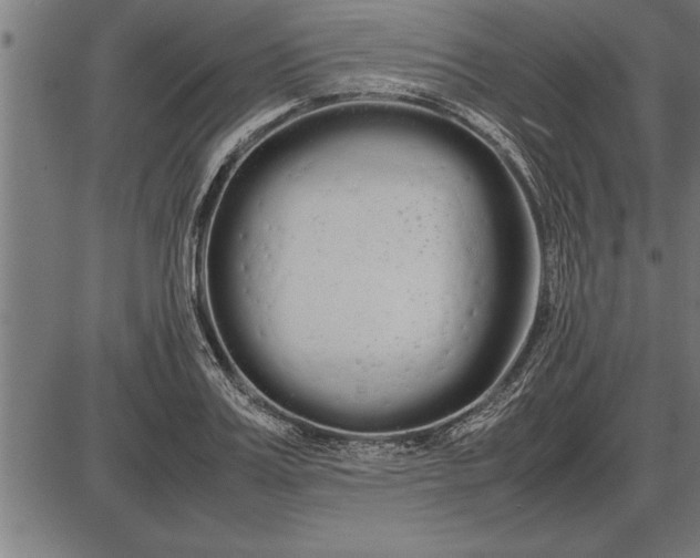 X0000086090987200704091322