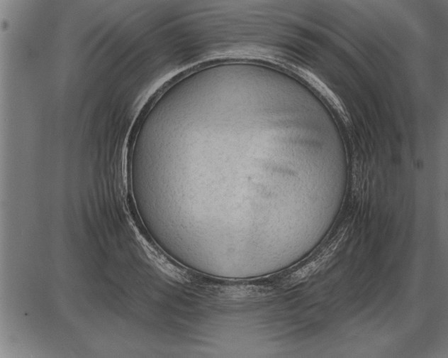 X0000086090988200704091322