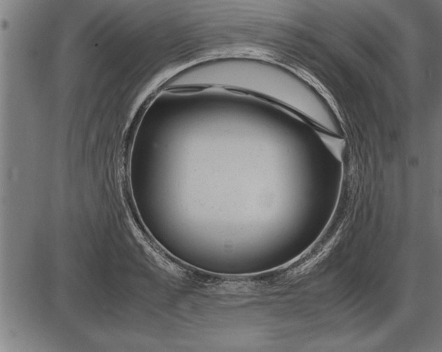 X0000086090989200704091322