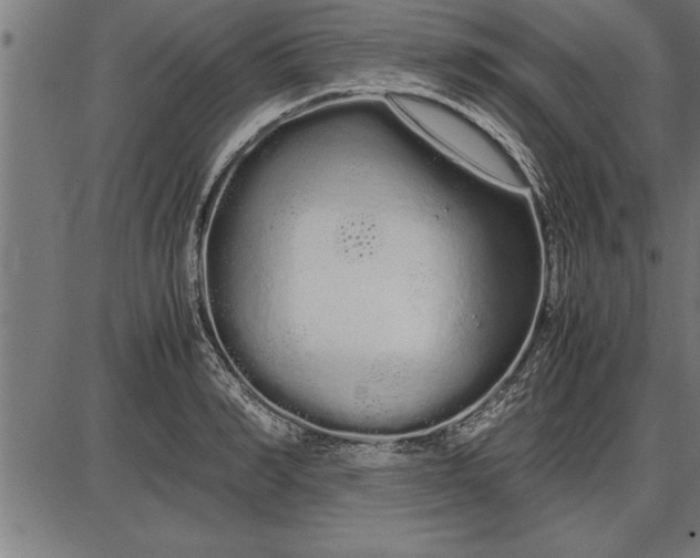 X0000086090990200704091322