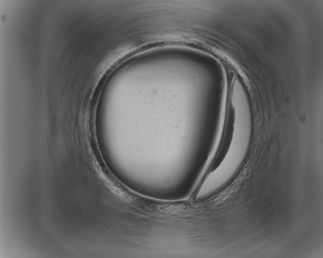 X0000086090991200704091322