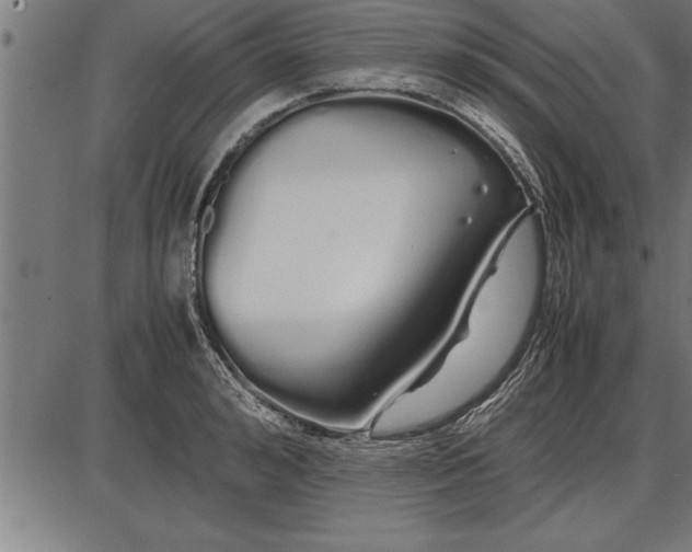 X0000086090992200704091322