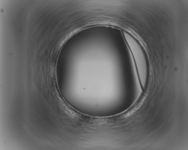 X0000086090993200704091322