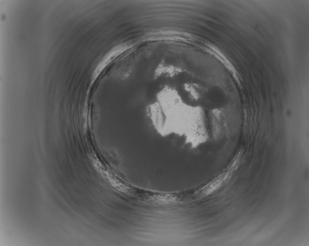 X0000086090994200704091322