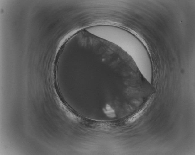 X0000086090995200704091322