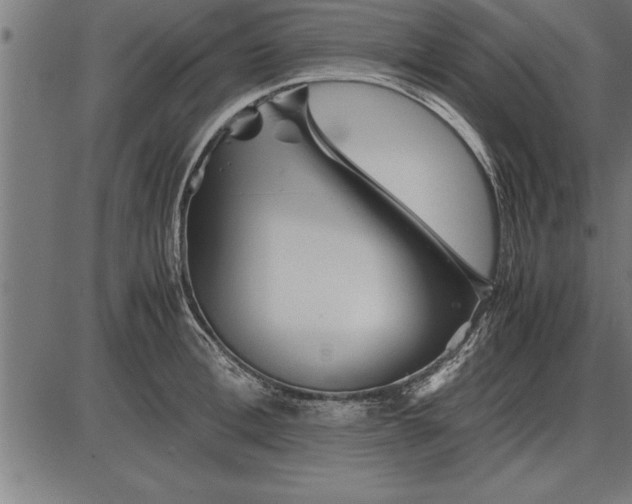 X0000086090996200704091322