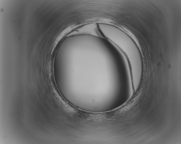 X0000086090997200704091322