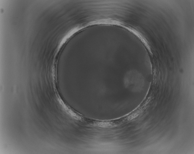 X0000086090998200704091322