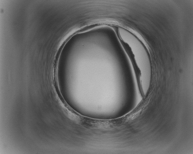 X0000086090999200704091322