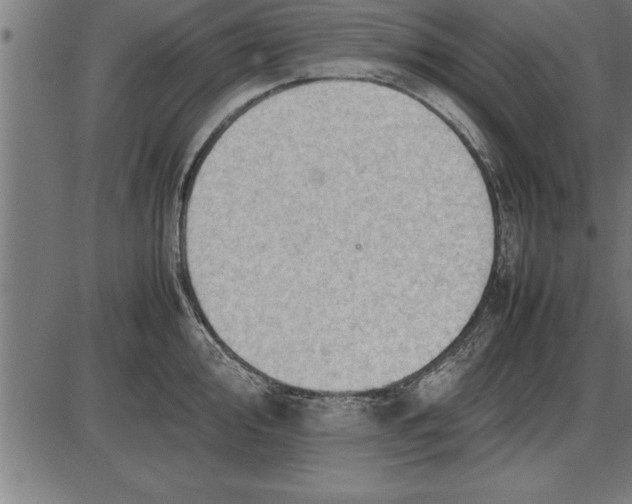 X0000086091000200704091322